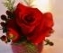 flower_0106