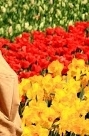 flower_0134