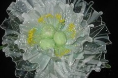 flower_0275