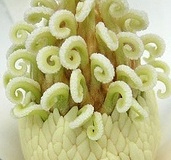 flower_0388